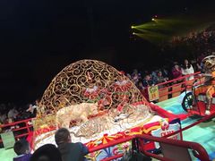 -广州长隆国际大马戏