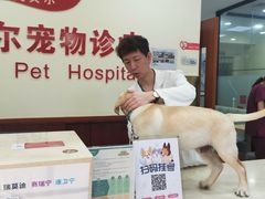 -艾贝尔宠物诊疗