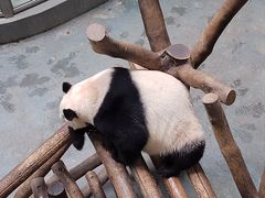 -天目湖御水温泉·度假酒店