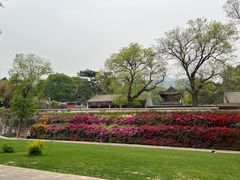 -红螺寺