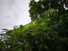 -蓬莱阁景区