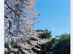 -红星桥(地铁站)