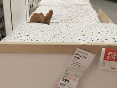 -宜家家居(哈尔滨商场店)