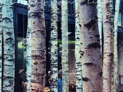 -Metal hands·铁手咖啡