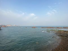 -小麦岛公园