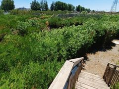 -亲兄弟真人CS团建拓展基地