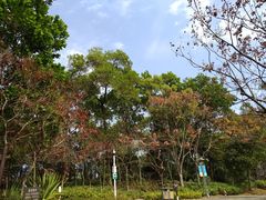 -聚龙山公园