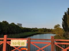 -大兴滨河森林公园