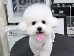 -八公叔叔宠物美容连锁(春申店)