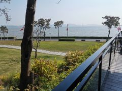 -深圳湾公园(南山区)