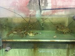 -ZF Seafood Restaurant 卓峰海鲜餐