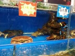 -黄寺蒸汽海鲜(黄寺大街店)