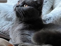 -佳雯宠物医院·皮肤科·内外科(春晓路分院)