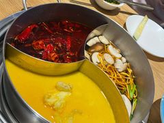 青瓷金汤锅-青瓷火锅料理(西单大悦城店)