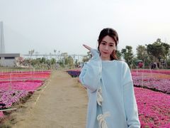 -芒洲湿地公园
