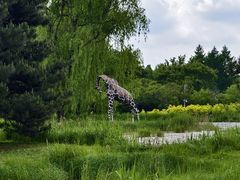 -黑龙江省森林植物园