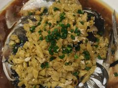 -庐州太太(信地店)