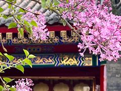 -西安市广仁寺
