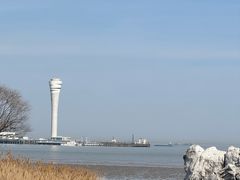 -上海吴淞炮台湾国家湿地公园