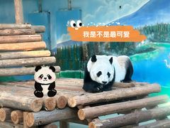 -柳州市动物园