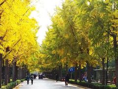 -广西大学(大学东路校区)
