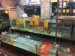 水产区-汇景花园酒家(基立下道店)