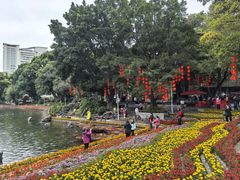 -荔湾湖公园