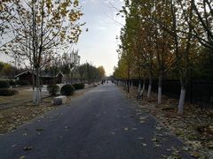 -永定河休闲森林公园