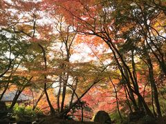 -醍醐寺