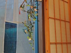 -文三酒肆自助放题(新街口友谊广场店)