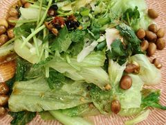 捞起生菜梗-六婶西关小厨(光塔路店)