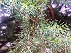 -环城公园-琥珀潭