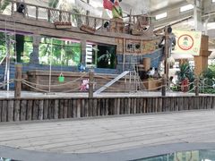 -南宫五洲植物乐园