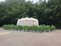 -莲花池公园