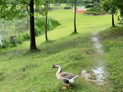 -浙江农林大学(东湖校区)