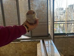 -春晖园度假酒店温泉