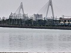 -万绿园