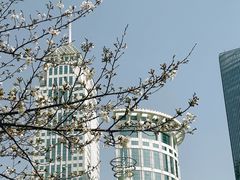 -西北湖绿化广场