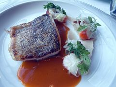 -翡翠36餐厅(浦东香格里拉店)