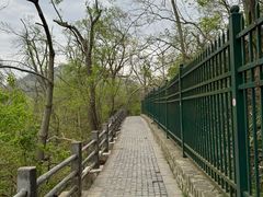 -紫金山山顶公园
