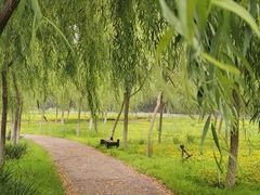 -西青郊野公园