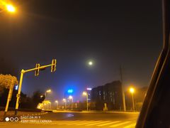 -北龙碳锅牛蛙(尚泽大都会店)