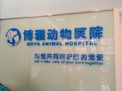 导诊台-纳吉亚猫专科动物医院博雅分院