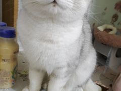 -蜀锦堂·川味现炒(襄阳武商汇店)