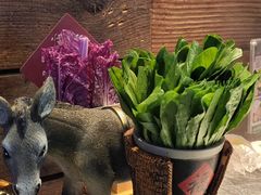 -慢丽江·云南野生菌土鸡锅(西山店)