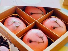 -云朵上的鱼(莘庄店)