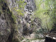 -龙水峡地缝景区