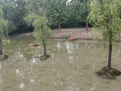 -溱湖国家湿地公园