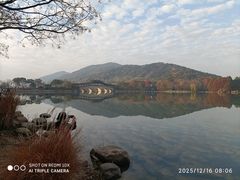 -长广溪湿地公园