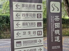 -雁南飞茶田景区